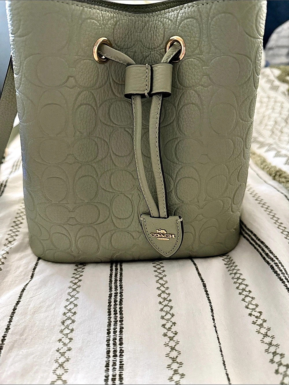 Coach Green Bucket Shoulder Bag with Pouch